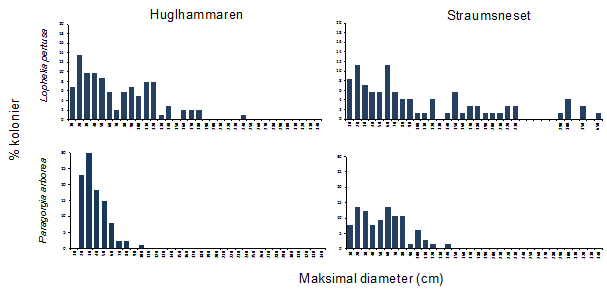 Bildet viser eksempler på histogram over svamp og korallforekomst