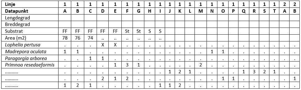 Figuren viser eksempel på datatabell