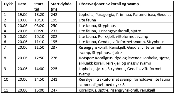 Figuren viser eksempel på notater i felt 