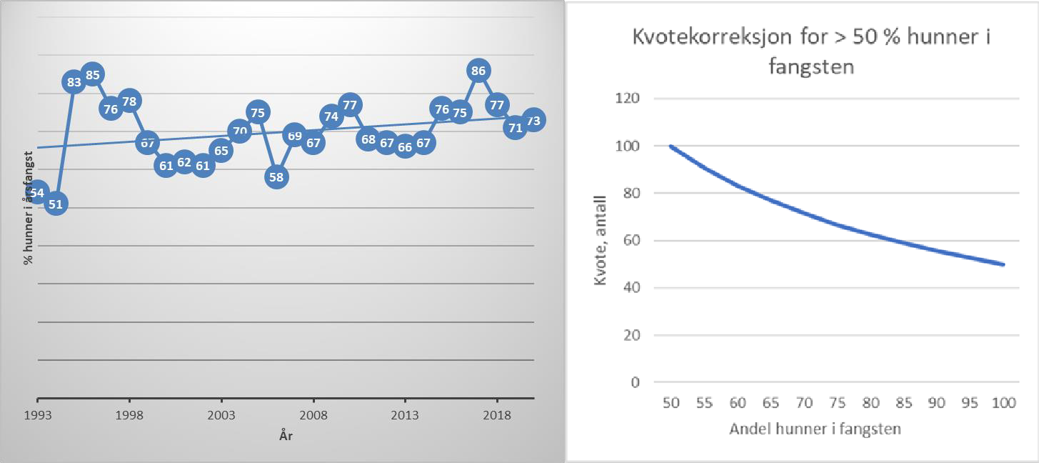 Grafer over hunner i totalfangst (venstre) og kvotekorrektsjon for dette (venstre)