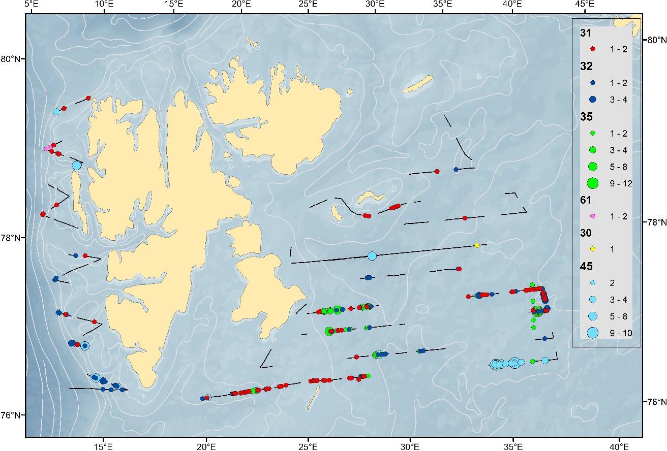 Kartmodell over fordeling av observert hval