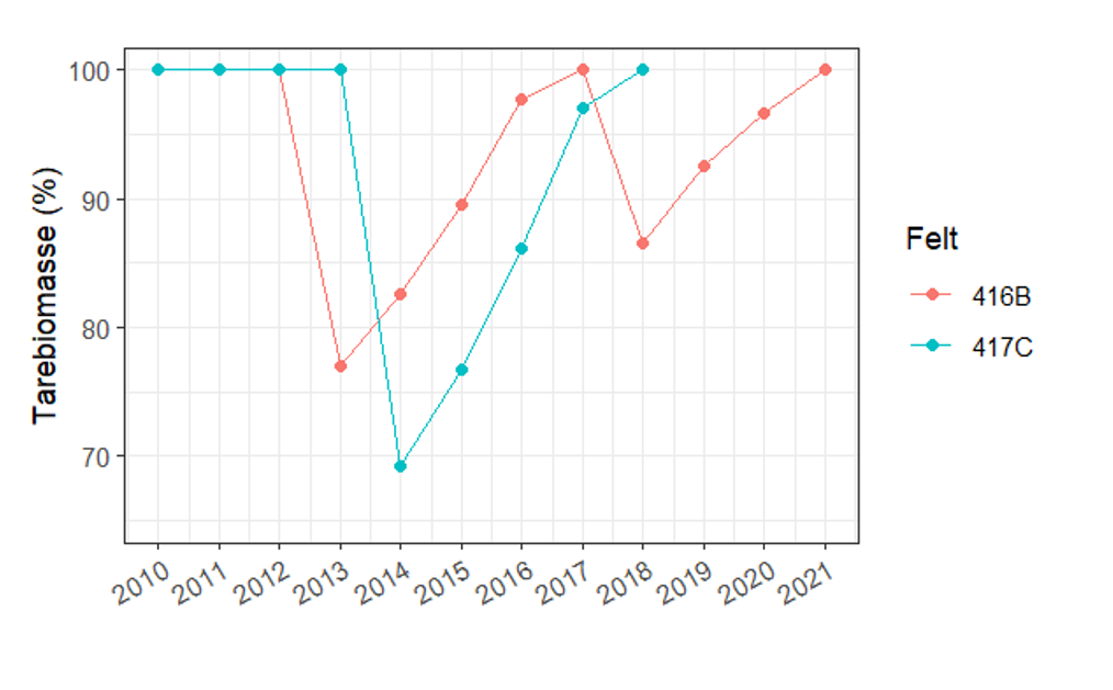 Graf over tarebiomasse (%) fra felt over tid 