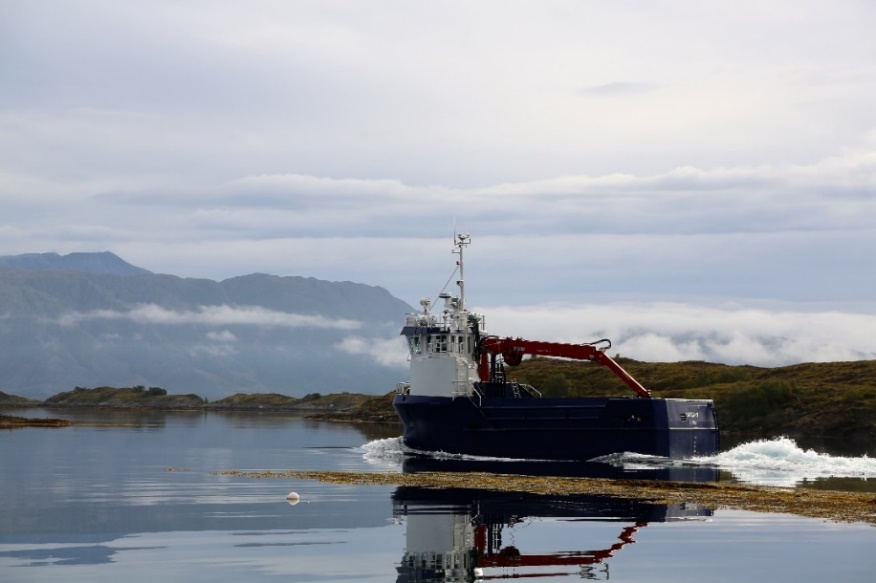 Figur 33. Taretråler i stille skjærgård (Foto: Espen Bierud, Havforskningsinstituttet).