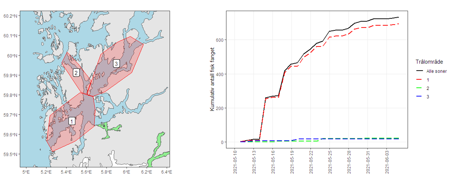 Figuren viser kart over Hardangerfjorden hvor områdene det skal tråles i er skravert, samt fangstresultatene.