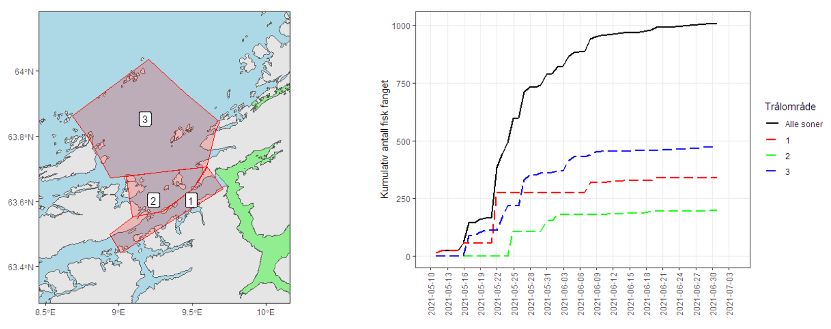 Figuren viser kart over Trondheimsfjorden hvor områdene det skal tråles i er skravert, samt fangstresultatene