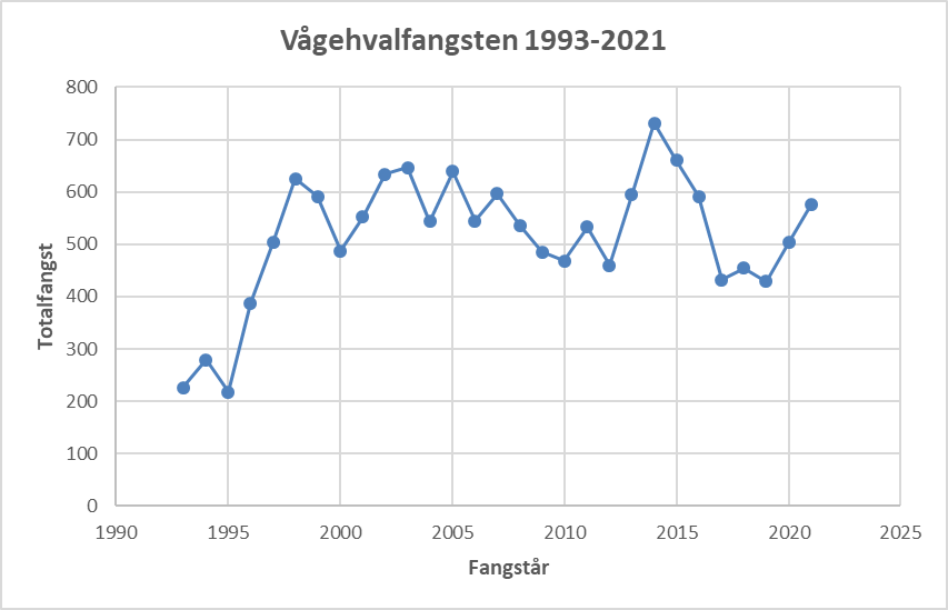 Graf over vågehvalfangsten 1993-2021