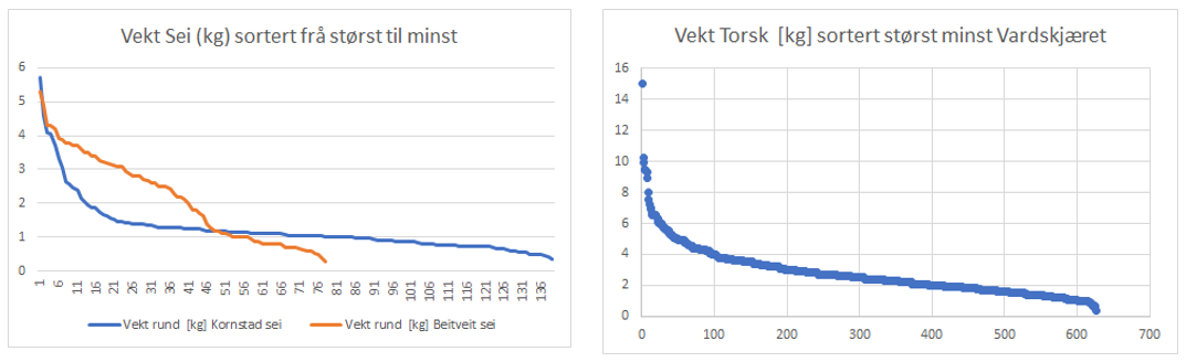 Grafer sim viser vekst i kg for sei (venstre) og torsk (høyre)