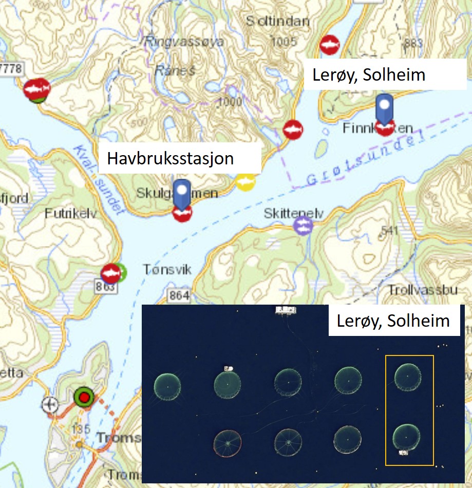 Kartutsnitt som viser hvor forsøkene ble utført - Havruksstasjon og Lerøy Solheim. Figuren viser også flyfoto over merder ved Lerøy Solheim