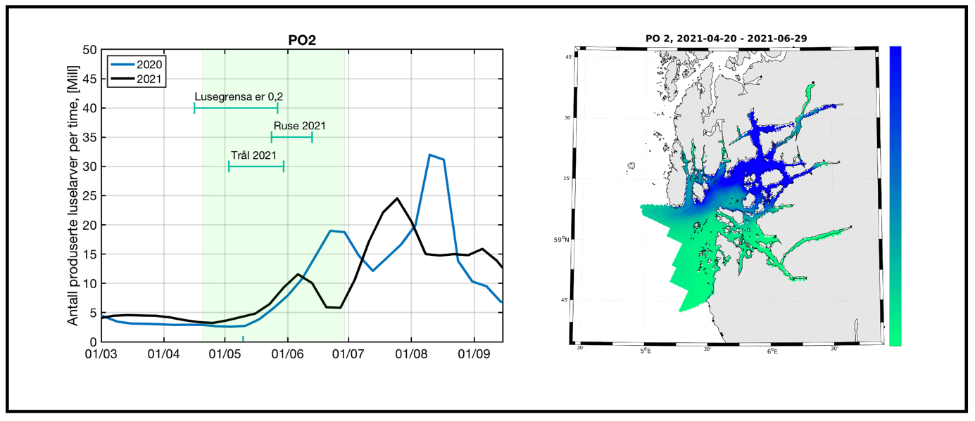Figur 6. Produksjon av klekte luseegg fra oppdrettsanlegg i produksjonsområde 2 i tidsrommet mars - september i 2020 og 2021. Grønt felt indikerer en periode på 70 døgn hvor en regner med at en stor andel sjøørret benytter det marine habitatet i produksjonsområdet. Figuren illustrerer også tidsrom for lavere lusegrense i oppdrettsanlegg og omtrentlig tidsrom for overvåking i dette produksjonsområdet (ruse og trål 2021, t.v.). Kartet illustrerer modellert fordeling av kopepoditter i produksjonsområdet summert over den samme 70 døgns perioden. Grønn farge i kartet indikerer lav tetthet av kopepoditter og blå farge i kartet indikerer høyere tetthet med kopepoditter t.h. Perioden på 70 døgn er lagt 20 døgn før og 50 døgn etter teoretisk 50 prosent laksesmoltutvandring for produksjonsområdet. 