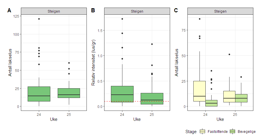 Figur 37. Antall lakselus (A), relativt antall lus (antall lus/gram kroppsvekt) (B) og antall lakselus fordelt på fastsittende og bevegelige stadier (C) på sjøørret fra Steigen.