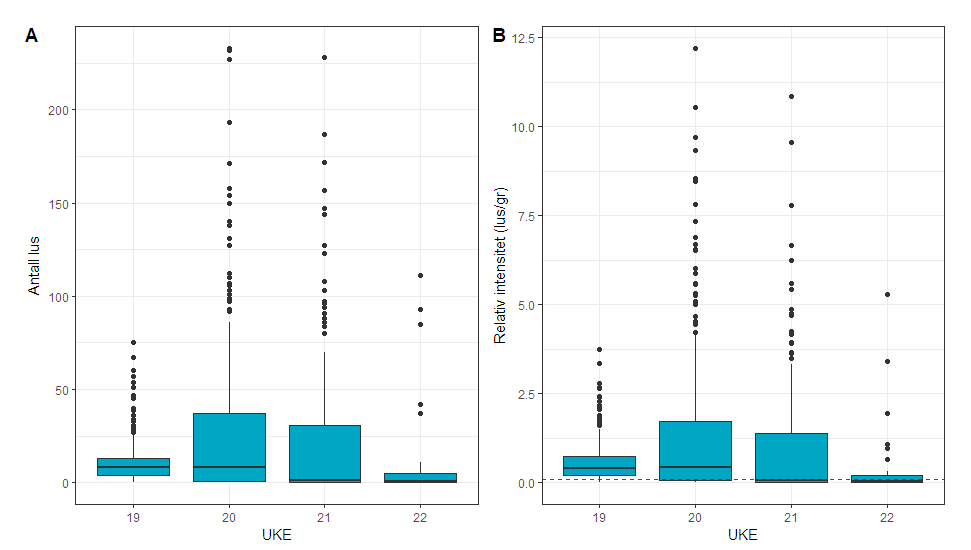 Figur 13. Antall lakselus (A) og relativt antall lus (B) på trålfanget postsmolt laks i uke 19-22 i ytre Hardangerfjord. 