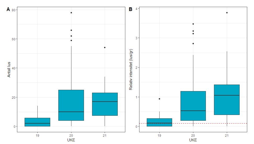 Figur 18. Antall lakselus (A) og relativt antall lus (B) på trålfanget postsmolt laks fra ytre Sognefjorden i uke 19-21.Fangstene i uke 22 og 23 er for lave til å illustreres i figuren 