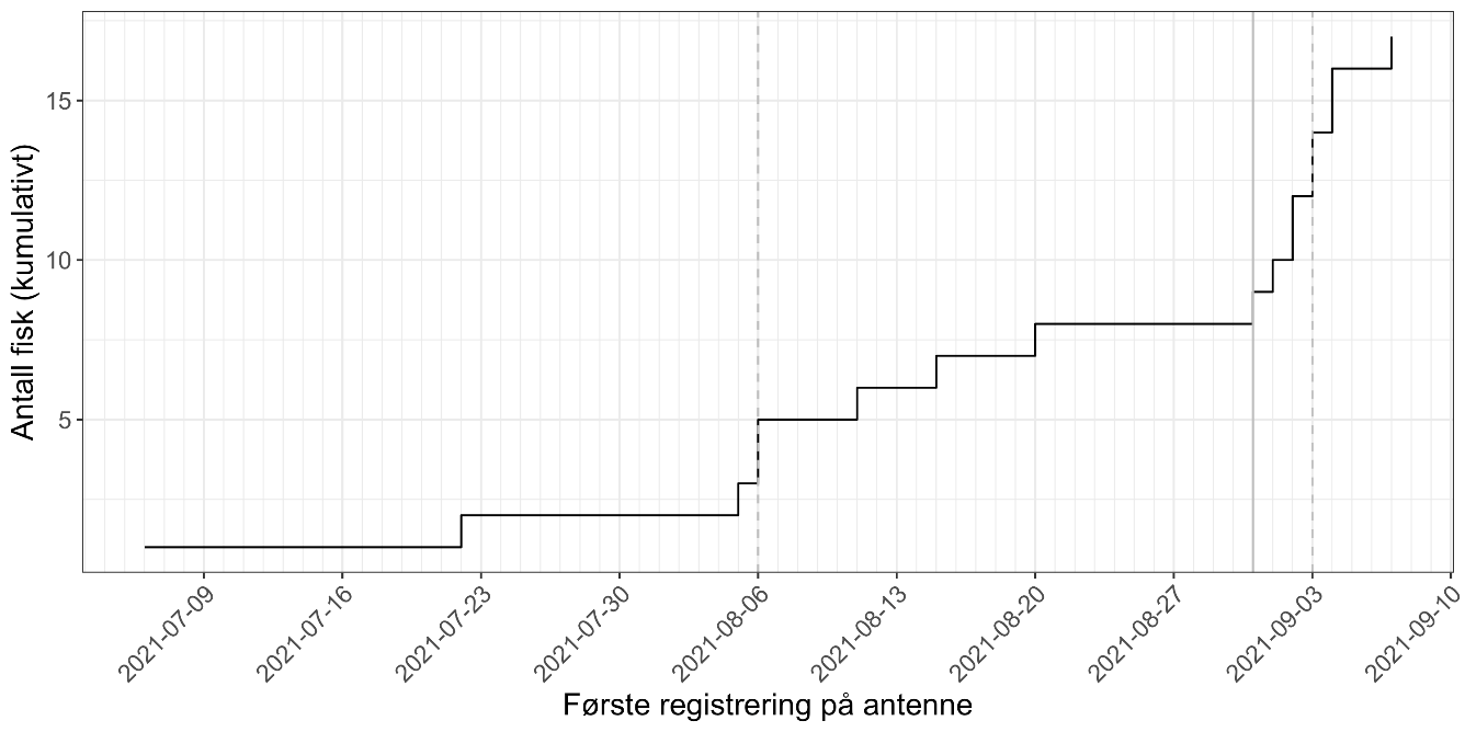 Tilbakevandring registrert på antenne i Runga