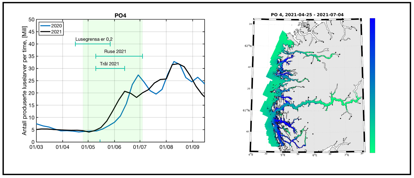 Figur 16. Produksjon av klekte luseegg fra oppdrettsanlegg i produksjonsområde 4 i tidsrommet mars - september i 2010 og 2021. Grønt felt indikerer en periode på 70 døgn hvor en regner med at en stor andel sjøørret benytter det marine habitatet i produksjonsområdet. Figuren illustrerer også tidsrom for lavere lusegrense i oppdrettsanlegg og omtrentlig tidsrom for overvåking i dette produksjonsområdet (ruse og trål 2021, t.v.). Kartet illustrerer modellert fordeling av kopepoditter i produksjonsområdet summert over den samme 70 døgns perioden. Grønn farge i kartet indikerer lav tetthet av kopepoditter og blå farge i kartet indikerer høyere tetthet med kopepoditter t.h. Perioden på 70 døgn er lagt 20 døgn før og 50 døgn etter teoretisk 50 prosent laksesmoltutvandring for produksjonsområdet.