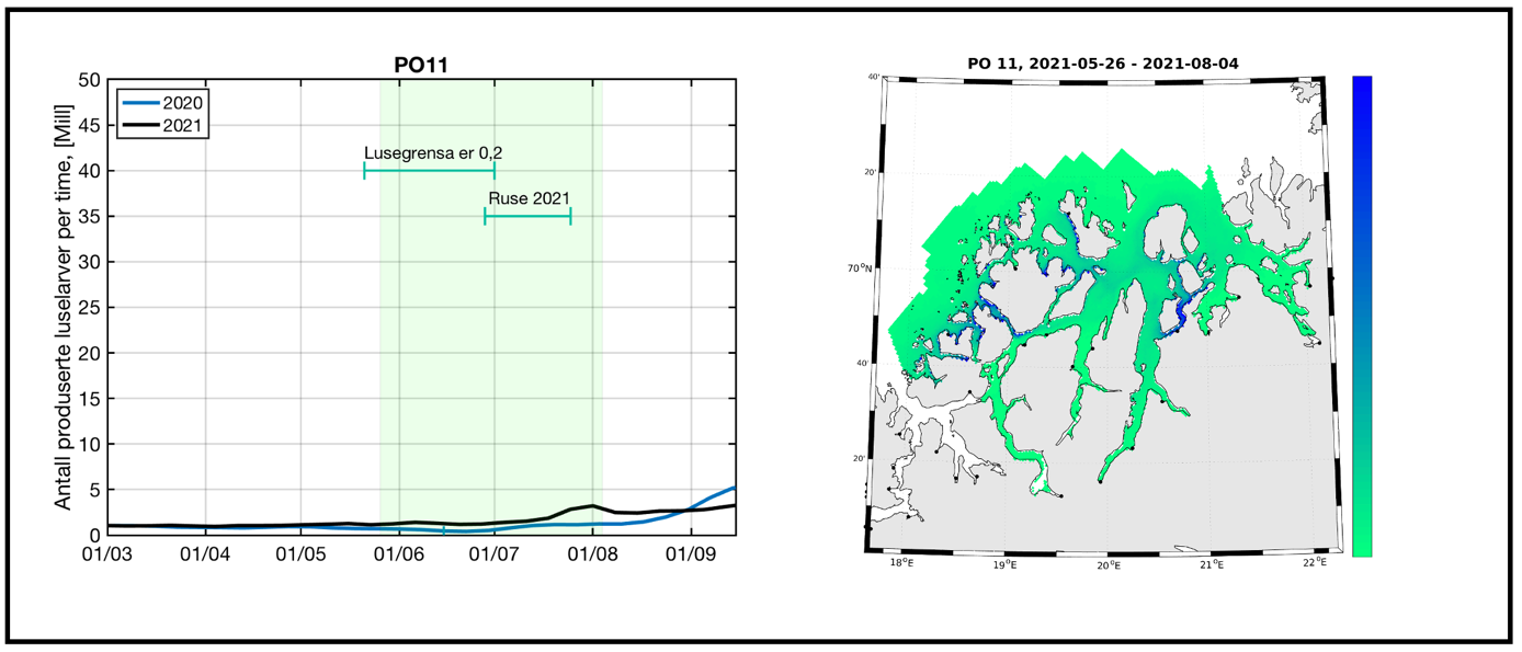 Figur 41. Produksjon av klekte luseegg fra oppdrettsanlegg i produksjonsområde 11 i tidsrommet mars - september i 2020 og 2021. Grønt felt indikerer en periode på 70 døgn hvor en regner med at en stor andel sjøørret benytter det marine habitatet i produksjonsområdet. Figuren illustrerer også tidsrom for lavere lusegrense i oppdrettsanlegg og omtrentlig tidsrom for overvåking i dette produksjonsområdet (ruse 2021, t.v.). Kartet illustrerer modellert fordeling av kopepoditter i produksjonsområdet summert over den samme 70 døgns perioden. Grønn farge i kartet indikerer lav tetthet av kopepoditter og blå farge i kartet indikerer høyere tetthet med kopepoditter t.h. Perioden på 70 døgn er lagt 20 døgn før og 50 døgn etter teoretisk 50 prosent laksesmoltutvandring for produksjonsområdet.