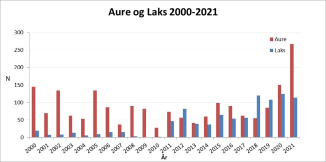 Figur 8. oppvandra laks og aure