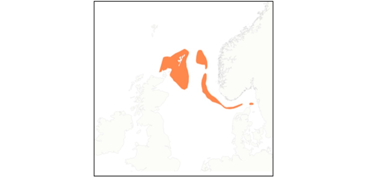fig.A1.2.nordsjøtorsk.jpg