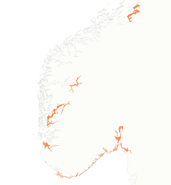 Brisling gyter i fjordene fra Trondheimsfjorden og sørover.