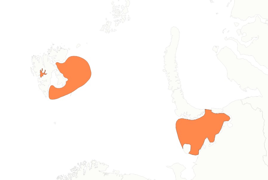 polartorsk gyter øst av Svalbard og vest av Kolahalvøya i Russisk sone. 