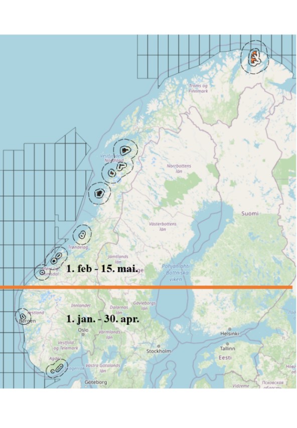 kysttorsk gyter i fjorder fra Finnmark og langs stort sett hele kysten,