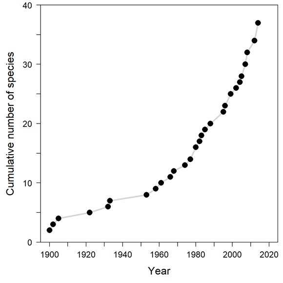 Figure 51.jpg