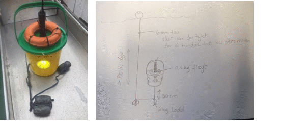 Bilde viser en gul bøtte med grønt lokk. På lokket er det stripset fast en fløyt ring (0.5 kg fløyt). Gjennom ringen og lokket er det montert en undervannslykt, som lyser opp bøtten fra innsiden. I veggen på bøtten er det montert 3 transparente trakter (vendt med traktspissen inn i bøtten). Til bunnen av bøtten er de festet et 50 cm langt tau med 2 kg blylodd. Videre fra blyloddet er det festet 1 m tau med søkk på (bunn-feste). Fra bunnfestet til et overflate fløyt er det festet en ca 100 m lang line (6 mm tau). Fløyt ringen på bøtte lokket og loddene under bøtten holder bøtten i loddrett posisjon i vannet, ca 50 cm over bunnen.