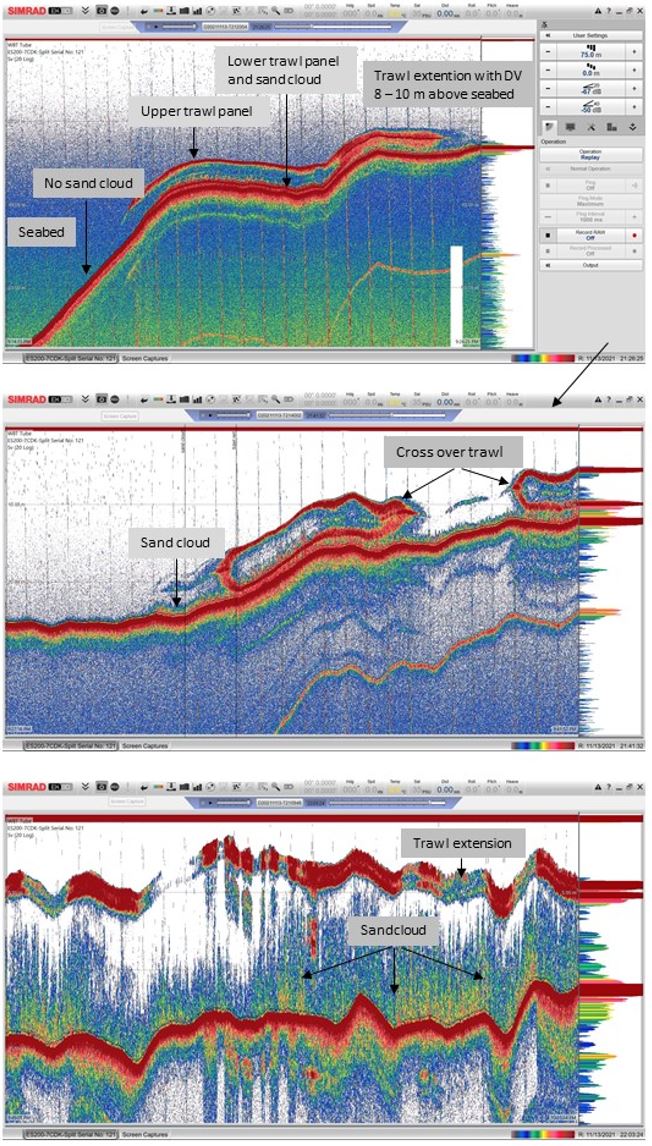 screenshots of echosounder data