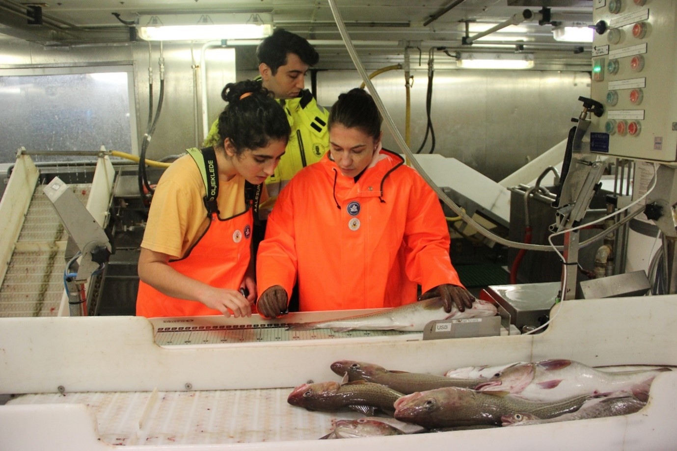 Photo of crew doing sampling