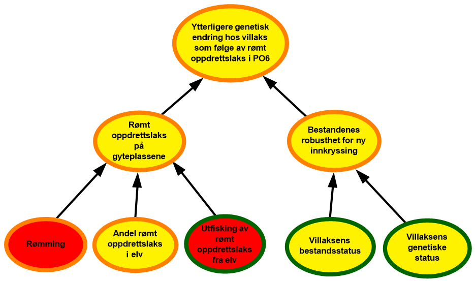 diagram risikovurdering PO6