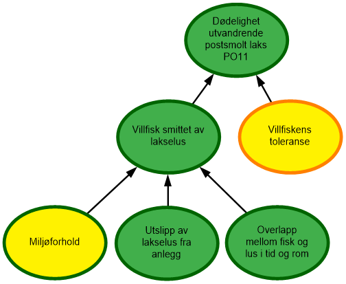 Diagram risikovurdering PO11