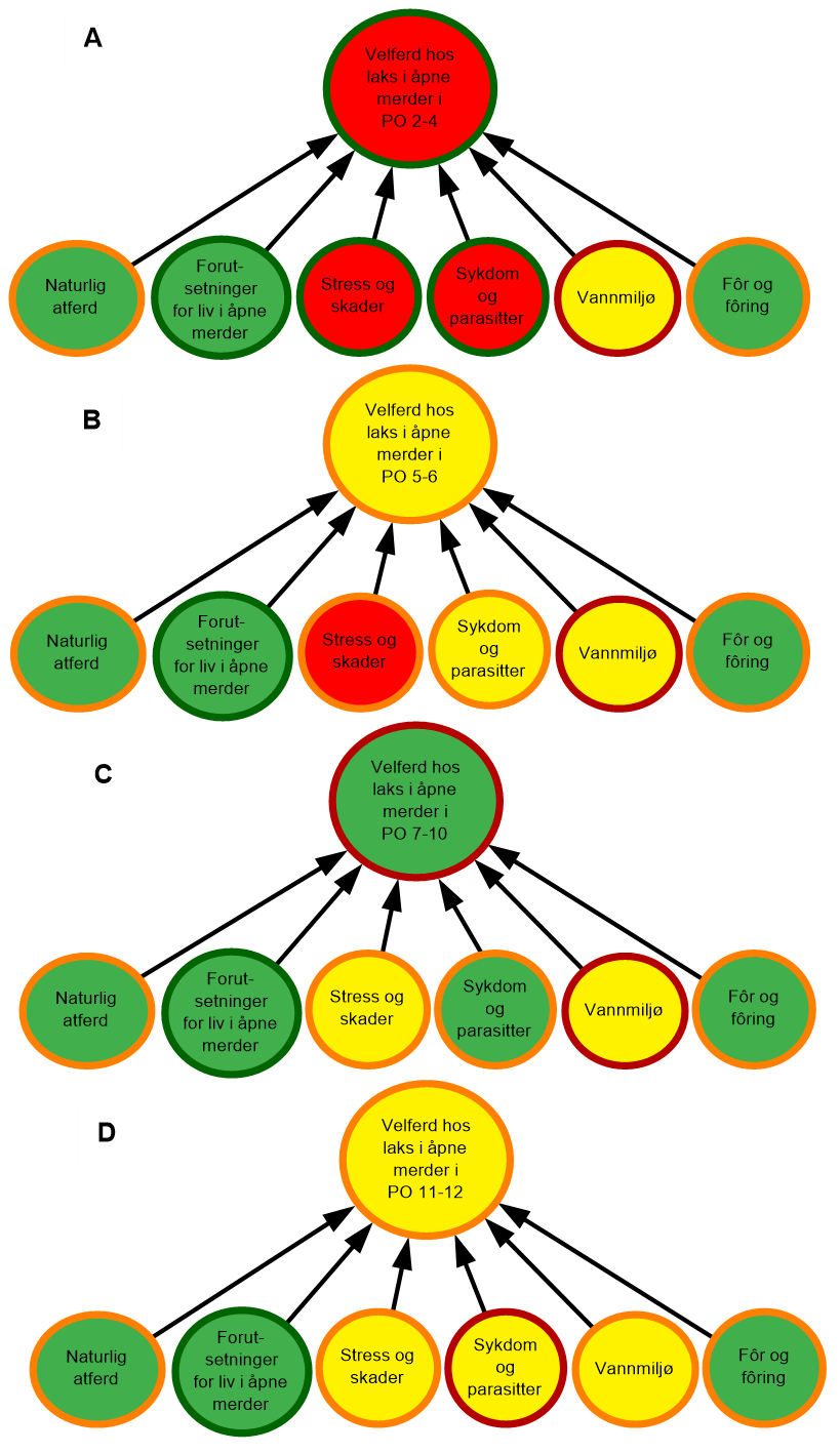 diagram som visualiserer risiko og velferd for oppdrettslaks sjø