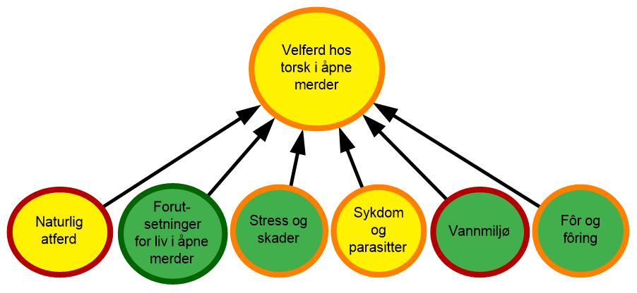 diagram som visualiserer risiko og velferd for oppdrettstorsk sjø