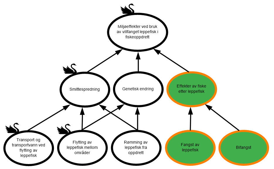 diagram over faktorer for leppefisk og miljø