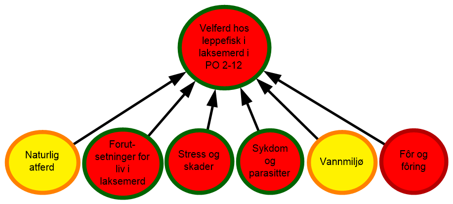 diagram som visualiserer risiko og velferd for leppefisk