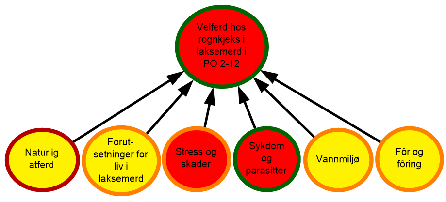 diagram som visualiserer risiko og velferd for rognkjeks