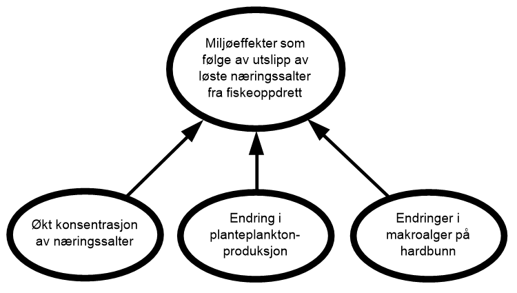 Diagram risikovurdering næringssalter