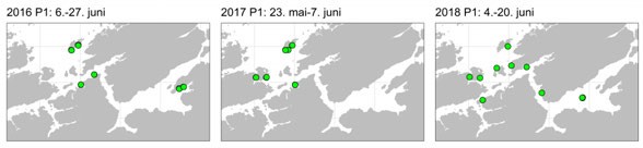 markerte kartmodeller, ulike perioder Trondheimsfjorden