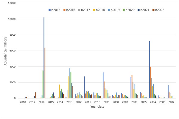 Figur som viser estimert mengde per årsklasse i nvg-gytetoktet i 2015 til 2022