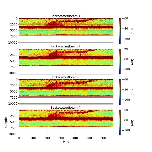 Fig. 17 left) The ADCP measurement of a capelin school from UTC 00.37.05 to UTC 01.02.18 of the 2nd March 2022. The back scattering from 4 beams.