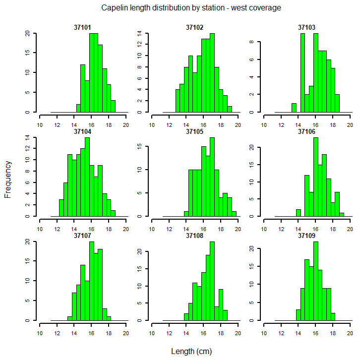 Fig. A1_2b) Capelin length distribution by station for the west survey coverage; station number is given at the top of each panel (see fig. A1_1 for geographical position of the stations).