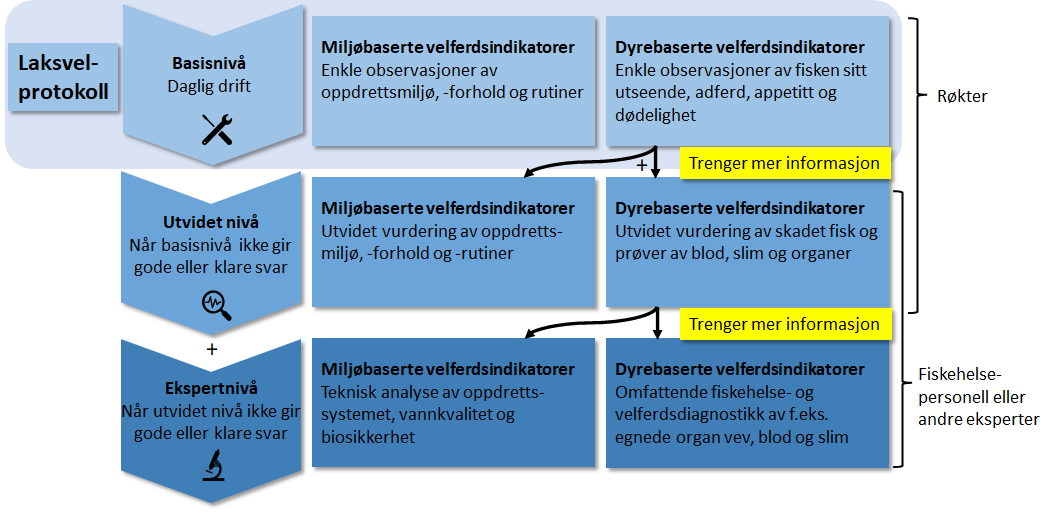 Fig trestegsrammeverk2.bmp