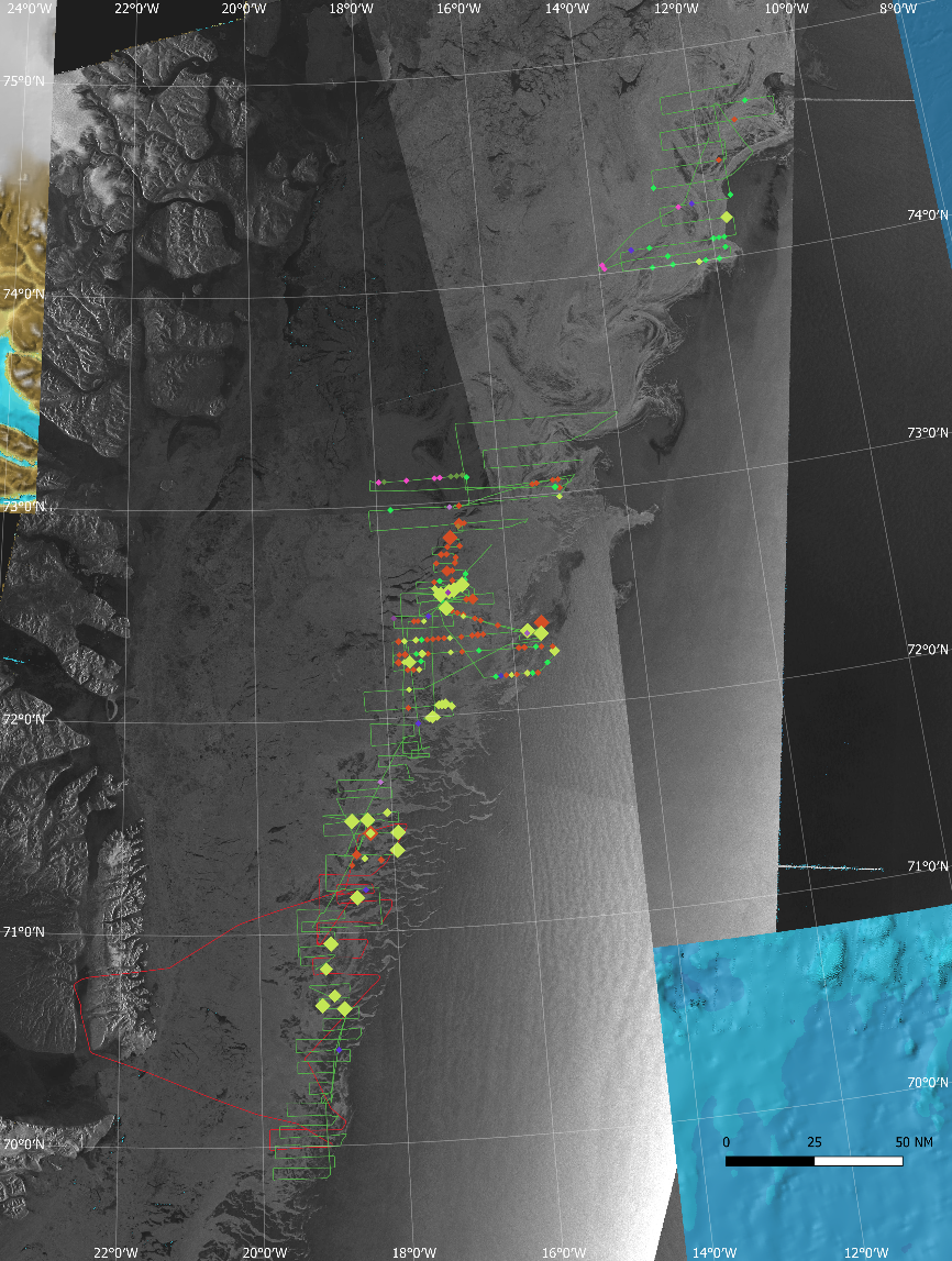 Fig. 6. Sightings obtained during reconnaissance flights conducted by helicopter from R/V Kronprins Haakon and by airplane from Constable Pynt on 10-25 March 2022. Opportunistic sightings of other marine mammals are also shown. Points are coloured by species (Red=Hooded seals, Yellow=Harp seals, Limegreen=Undetermined seals, Dark purple=Polar bear, Purple=Bowhead whale, Navy blue=Narwhal). The background image is a composite of Sentinel 1 SAR images of sea ice concentration on dates roughly corresponding to the dates of the surveys in the respective areas, overlaid on the IBCAO bathymetric chart.