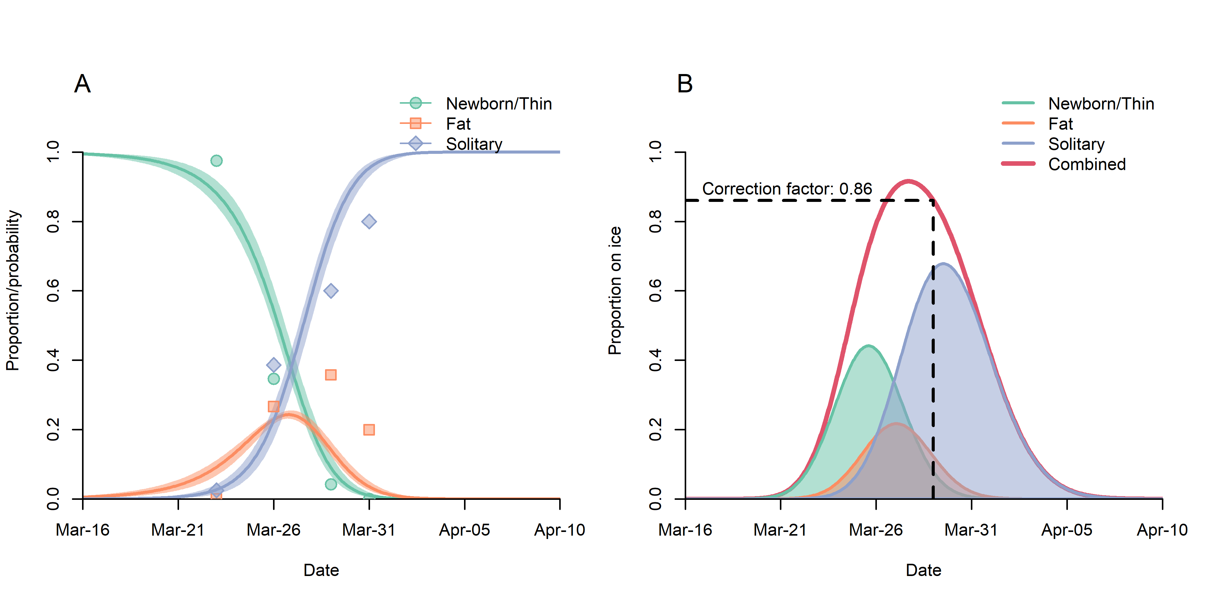 Fig. 10. (B) Observed proportions (points) and estimates of the probability (lines) of a hooded seal pup being classified as belonging to the various stages, and (B) predicted proportion of harp seal pups on ice as a function of time. The dotted vertical line shows the proportion of pups visible on ice 28 March (when the photographic survey was carried out), and the dotted horizontal line represents the associated correction factor for missed pups.