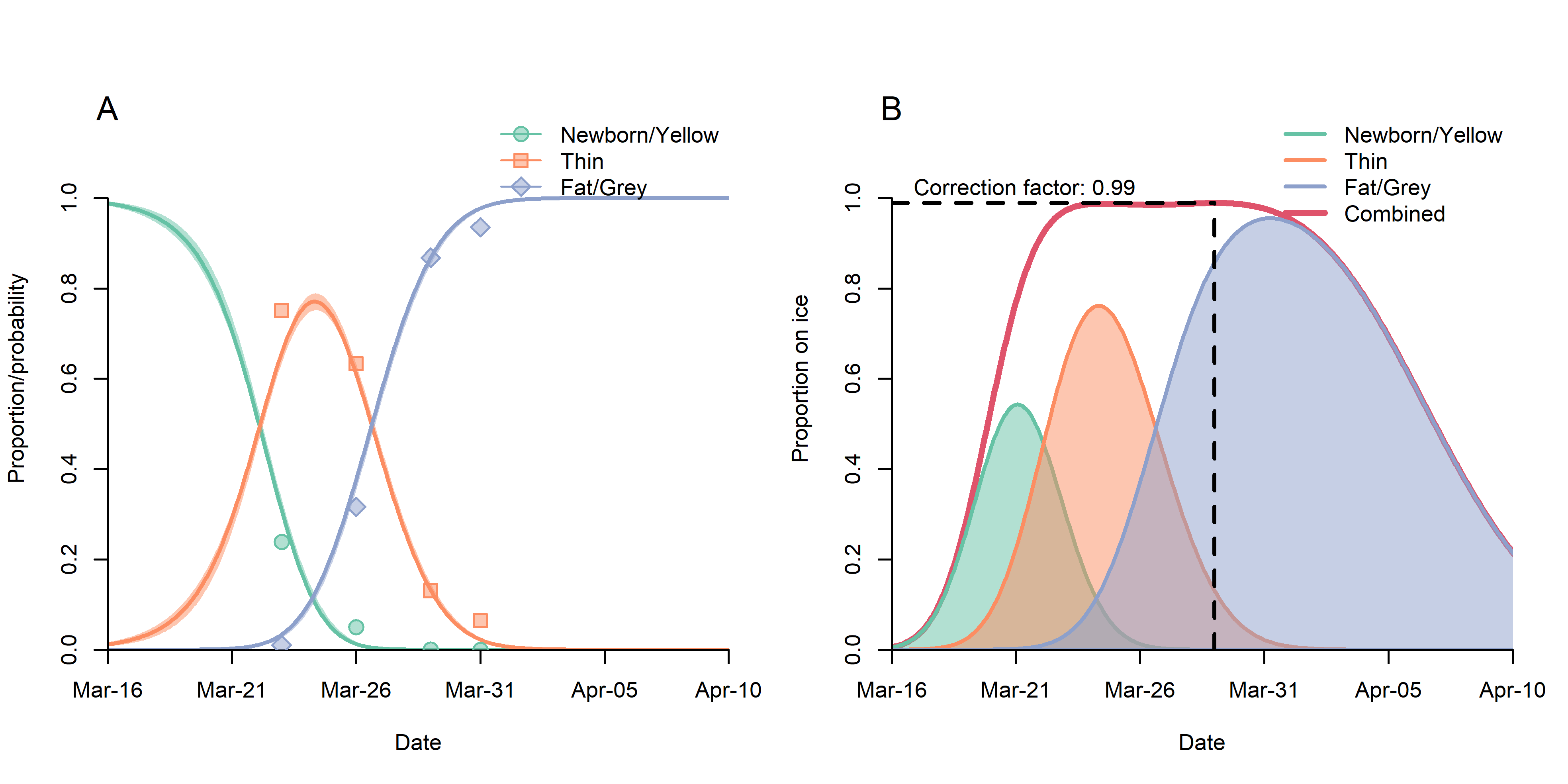 Fig. 9. (A) Observed proportions (points) and estimates of the probability (lines) of a harp seal pup being classified as belonging to the various stages, and (B) predicted proportion of harp seal pups on ice as a function of time. The dotted vertical line shows the proportion of pups visible on ice 28 March (when the photographic survey was carried out), and the dotted horizontal line represents the associated correction factor for missed pups.