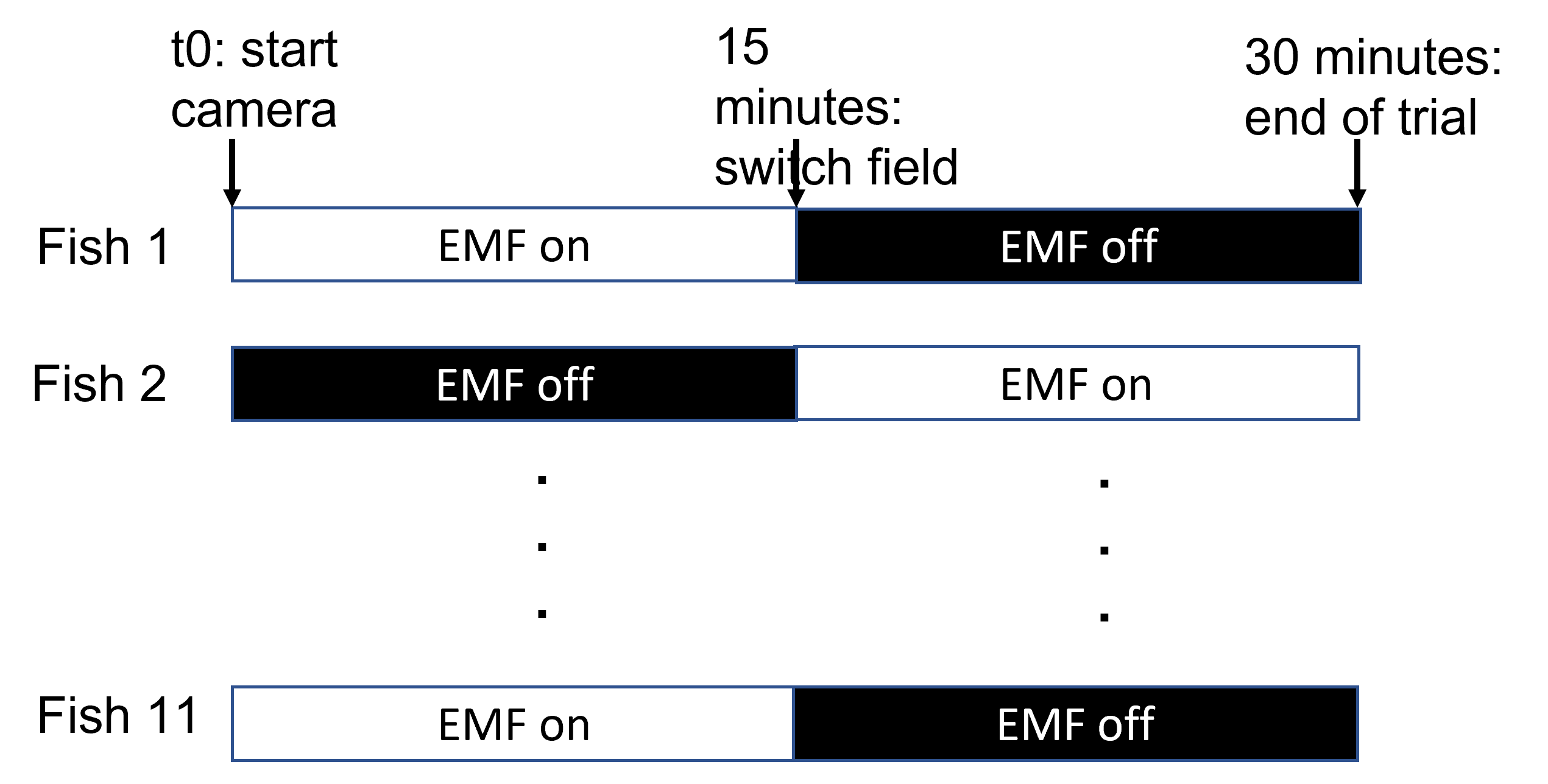 A schematic of the sampling protocol