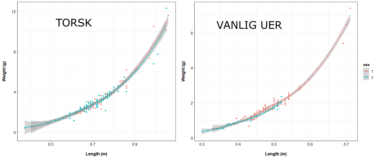 graf over lengde og vekt torsk og vanlig uer