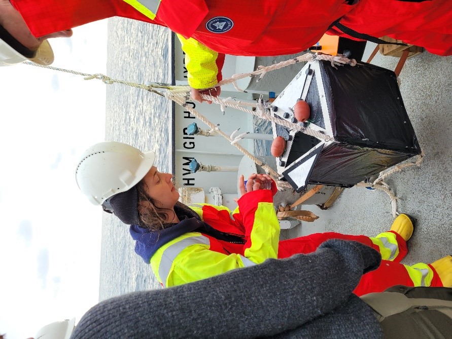 Picture showing the cage from the outside, covered in black plastic. The lid is open and Saskia Kühn is introducing plankton to the cage in a plastic container.