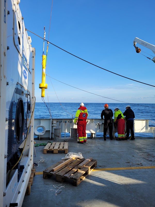 Picture of the hydrophone buoy when being lifted into the water