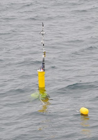 Picture of the hydrophone buoy when floating in the water.