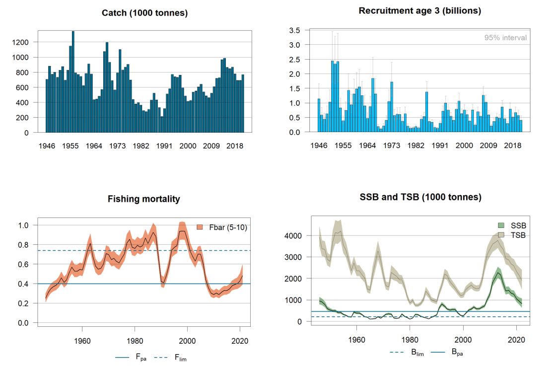 graphs, stock development